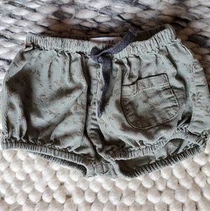 Baby Zara Shorts Bloomers